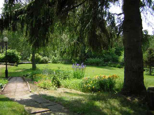 ** Summer picture 2006 **